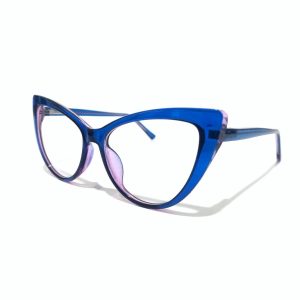 Eyeglass Frame 1613