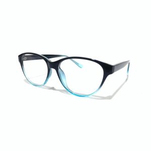 Eyeglass Frame 1617
