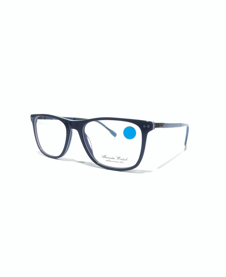 Eyeglass Frame 1689