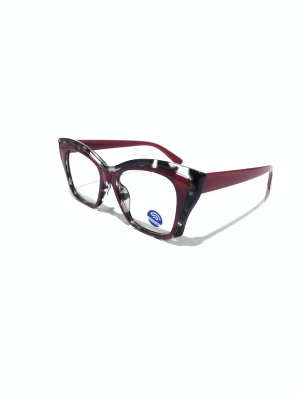 Eyeglass Frame 1707