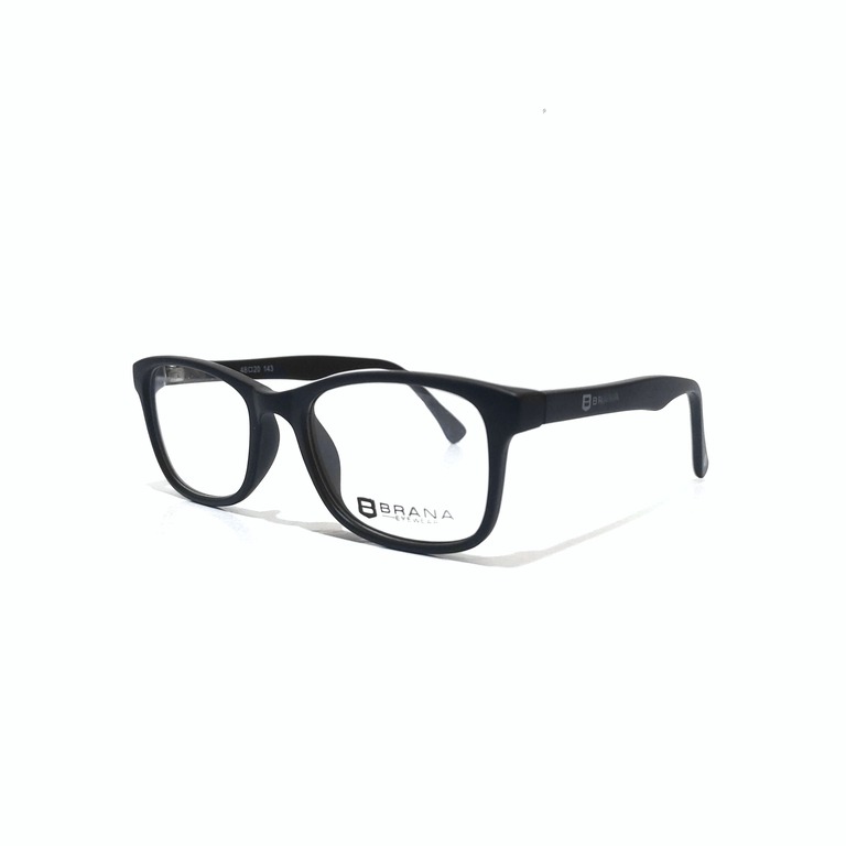 Eyeglass Frame 1888
